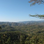 img_1616